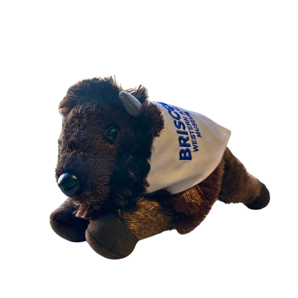 Briscoe Bandana Bison