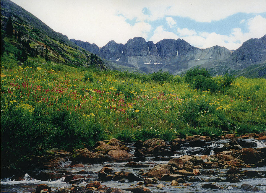 Living Waters by L. Errol Mullen