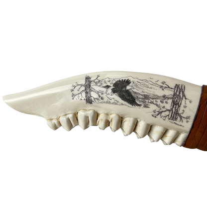 XL Elk Bone Scrimshaw Handle Obsidian Knife