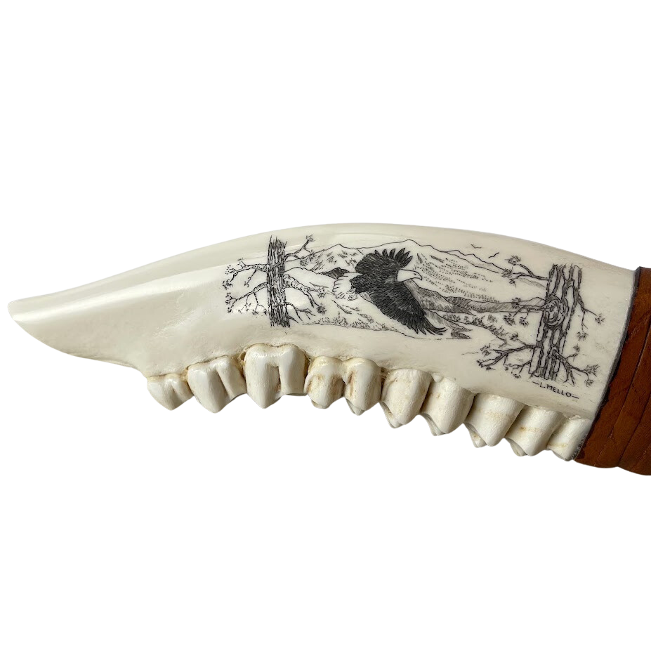 
            
                Load image into Gallery viewer, XL Elk Bone Scrimshaw Handle Obsidian Knife
            
        