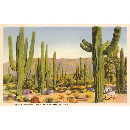 Saguaro National Park Vintage Magnet