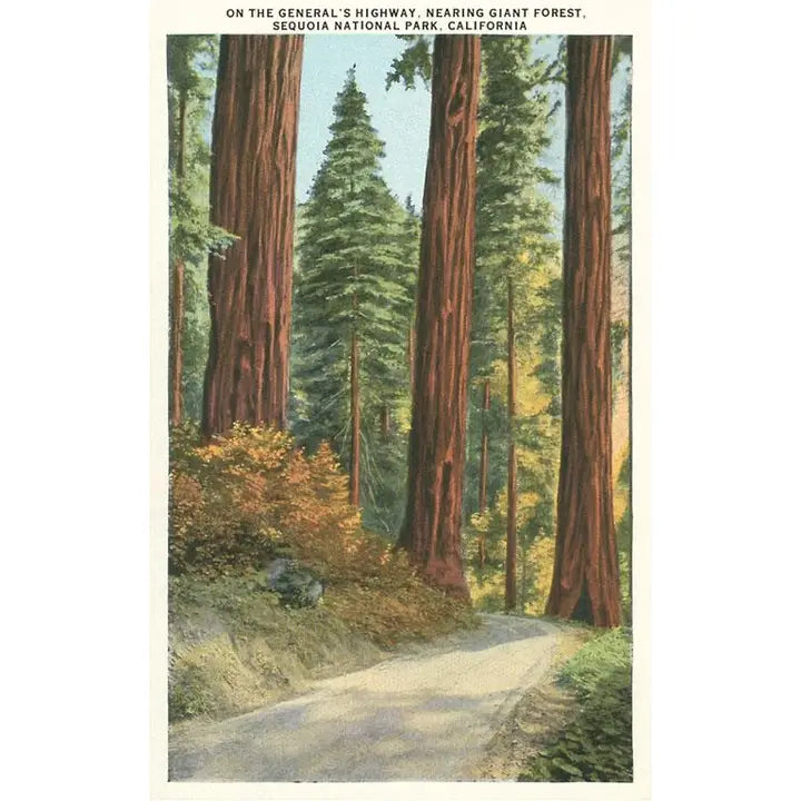 Sequoia National Park Vintage Magnet