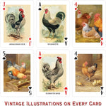 Chickens Playing Cards