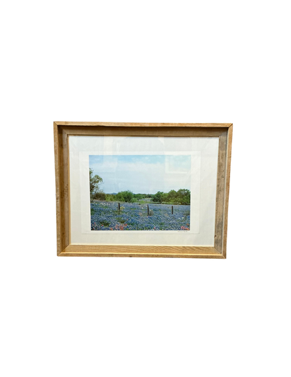 Hill Country Bluebonnets by L. Errol Mullen