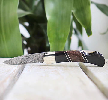 Dinosaur Bone 3" Damascus Lockback Knife