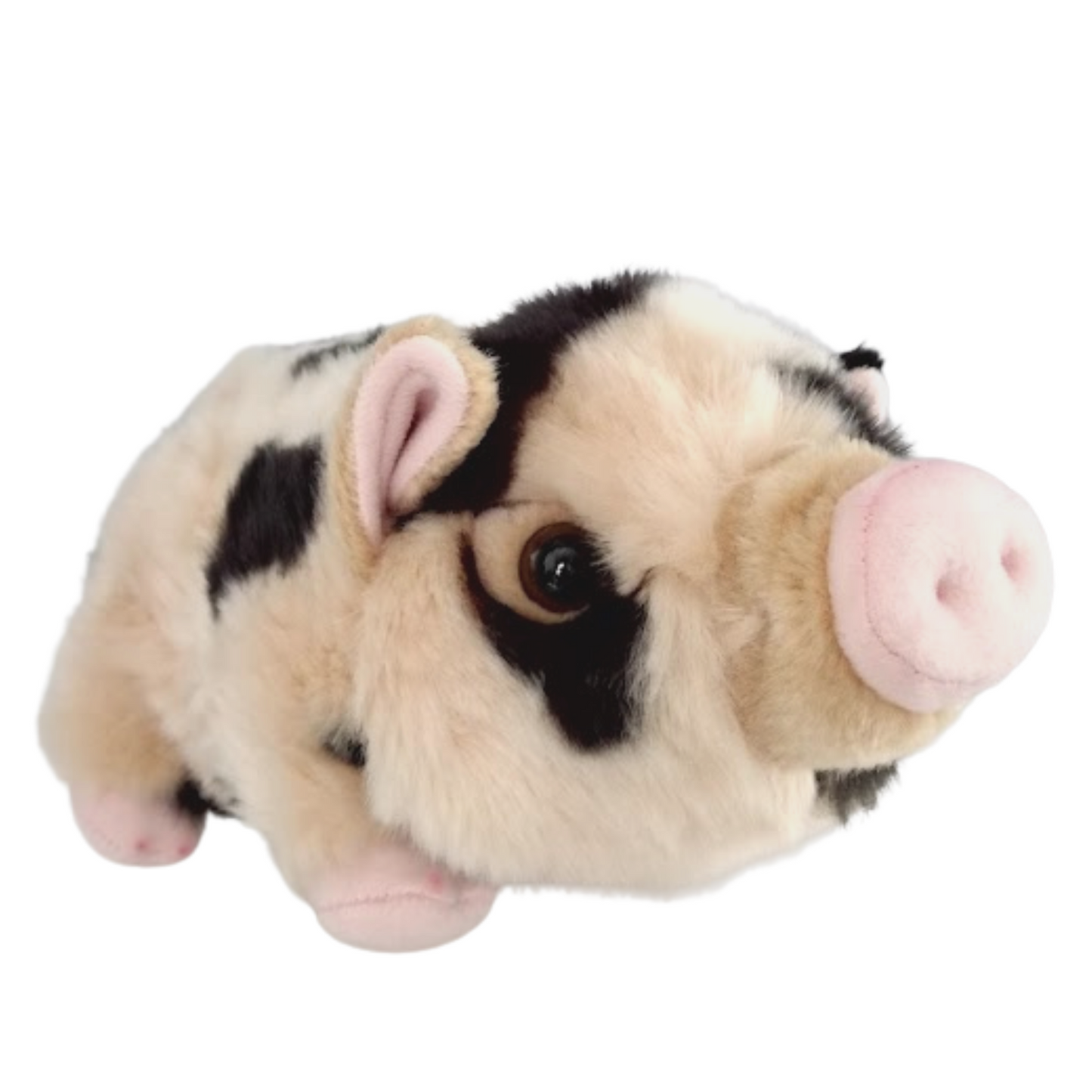Plush Spotted Pot Bellied Pig