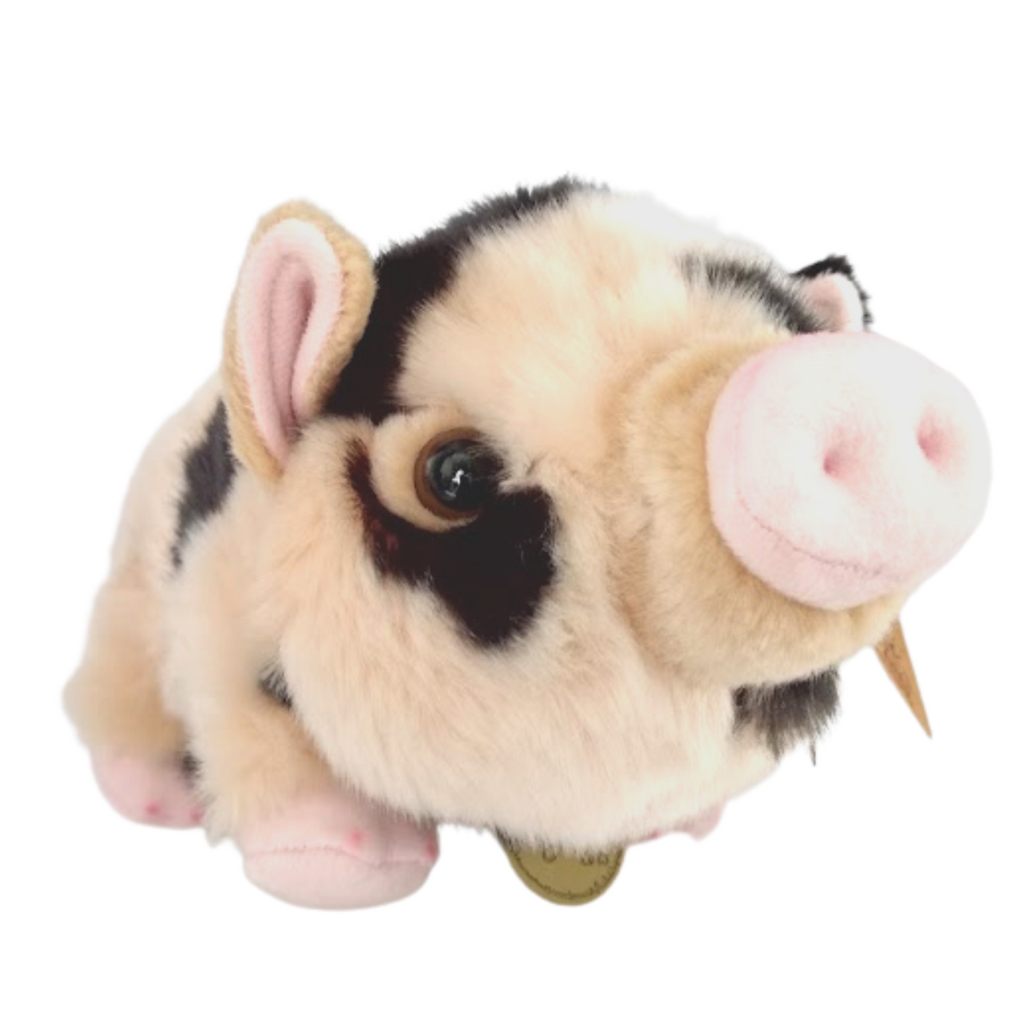 Plush Spotted Pot Bellied Pig