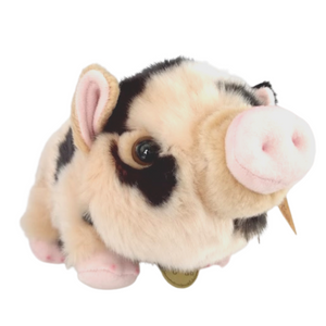 
            
                Load image into Gallery viewer, Plush Spotted Pot Bellied Pig
            
        