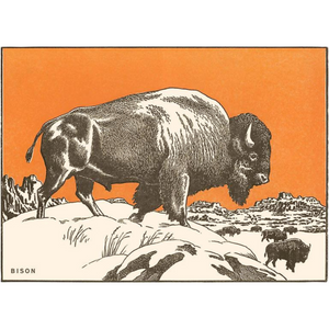Bison Woodcut Image Magnet