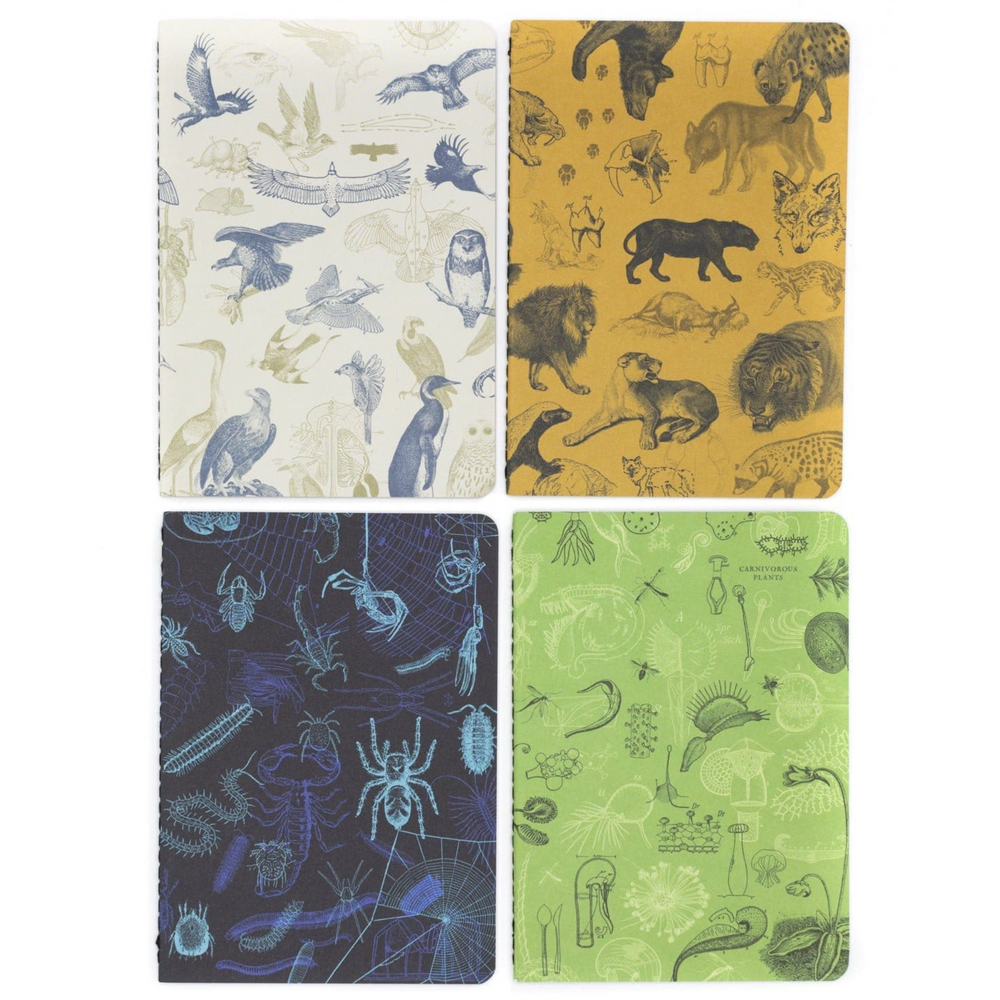 Carnivores Pocket Notebook 4-pack
