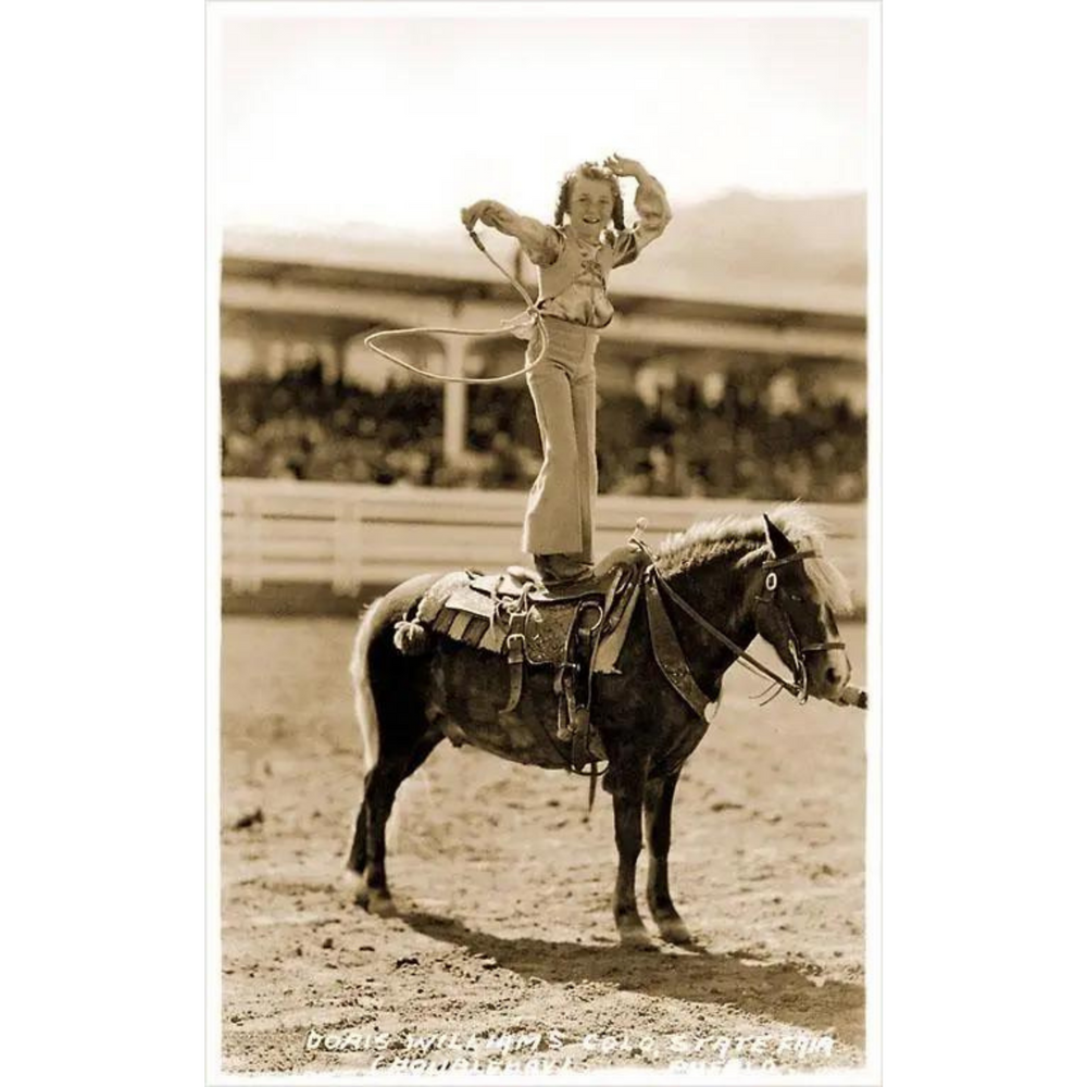 
            
                Load image into Gallery viewer, Little Girl Trick Roper on Pony Magnet
            
        