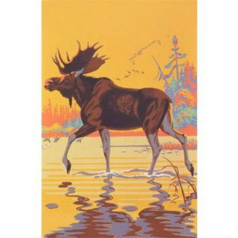 Moose in Lake Magnet